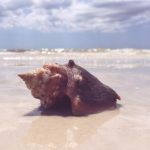 嘉盈娱乐的用户体验:从注册到游戏的全流程解析 7lcw687ms