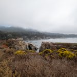 在澳门金莎娱乐体验无与伦比的夜生活与美食 fz6nbhuel