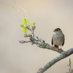 在家也能乐享生活:创意休闲娱乐活动分享 h3g3i0hga