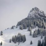 在澳门威尼斯畅游:不可错过的娱乐与购物体验 jzjkri