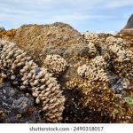 在尊龙AG娱乐中,感受人生的无限可能与挑战 wcmzo1e9