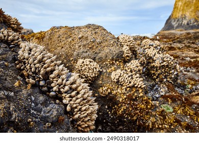 在尊龙AG娱乐中，感受人生的无限可能与挑战