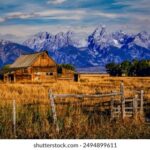 3D193期开奖号码公布,最新中奖结果揭晓 21nz5