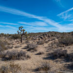 18004期最新开奖结果查询与中奖号码公布 6sw93yiap3