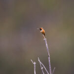 1790期开奖结果正式公布,大奖花落谁家? hhc6hqzi2r