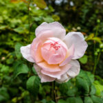 3d198期历史开奖结果查询与完整号码记录回顾 hod3602n