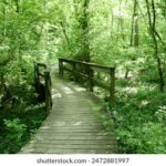 3d2025059期开奖结果最新公布与详细分析 knzsi54