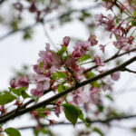 18005期开奖结果最新公布,快来看看你中奖了吗? re81hm