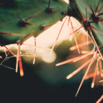 17334期体彩开奖结果揭晓:幸运号码正式公布 s5lut