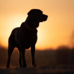 3d147期开奖结果公布最新中奖号码查询 w9ygg5