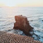 17365期最新开奖结果查询与中奖号码公布 x9mjd87